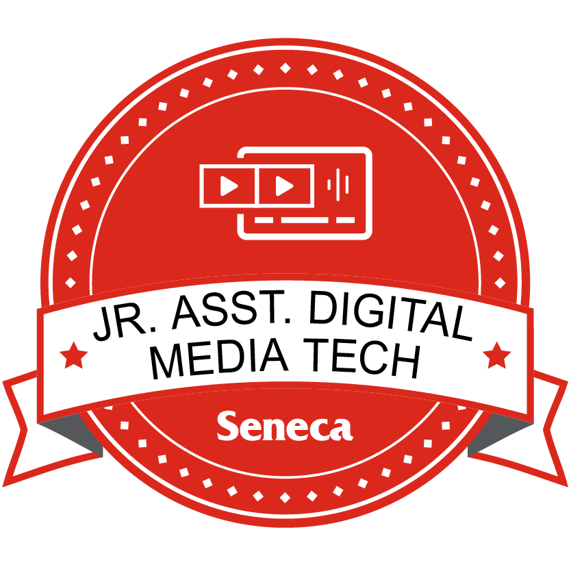 Junior Assistant Digital Media Technician - Skills Catalyst