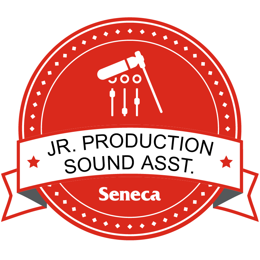 Junior Production Sound Assistant - Skills Catalyst