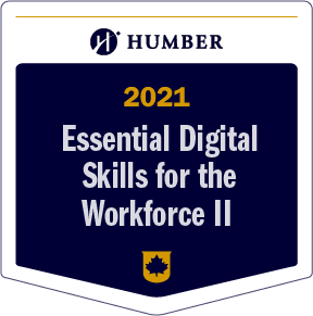 Essential Digital Skills for the Workforce II
